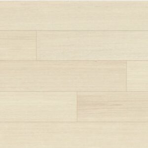 67622 札達爾橡木